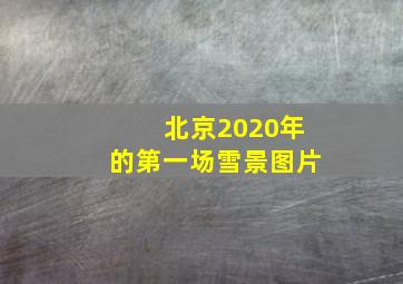 北京2020年的第一场雪景图片