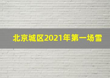 北京城区2021年第一场雪