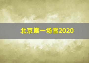 北京第一场雪2020