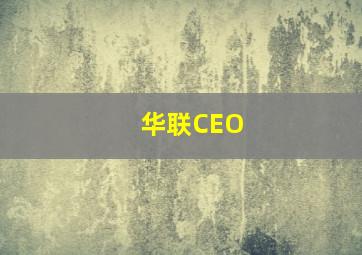 华联CEO