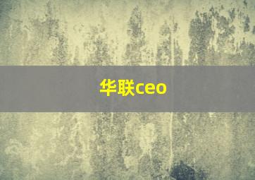 华联ceo