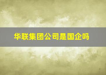 华联集团公司是国企吗