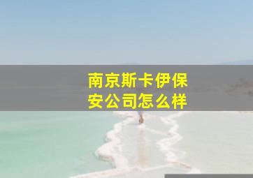 南京斯卡伊保安公司怎么样