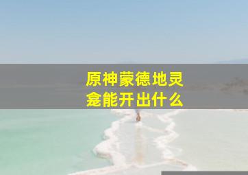 原神蒙德地灵龛能开出什么