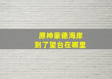 原神蒙德海岸到了望台在哪里