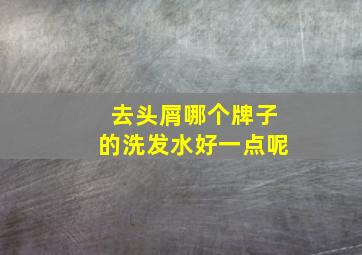 去头屑哪个牌子的洗发水好一点呢