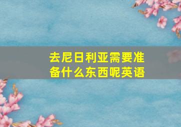 去尼日利亚需要准备什么东西呢英语