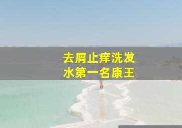 去屑止痒洗发水第一名康王