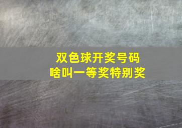 双色球开奖号码啥叫一等奖特别奖