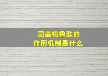 司美格鲁肽的作用机制是什么