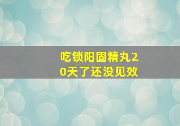 吃锁阳固精丸20天了还没见效