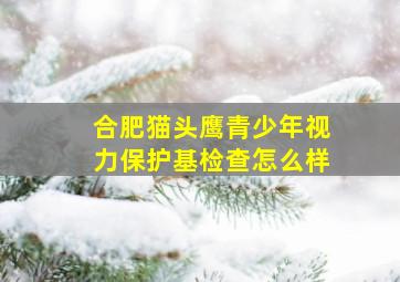 合肥猫头鹰青少年视力保护基检查怎么样