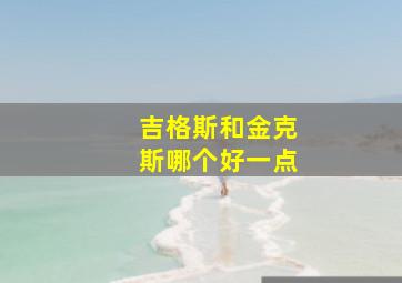 吉格斯和金克斯哪个好一点