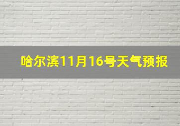 哈尔滨11月16号天气预报