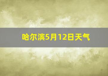 哈尔滨5月12日天气