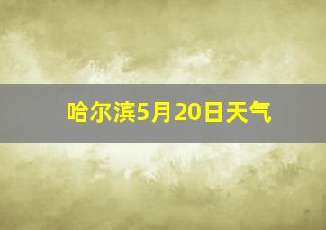 哈尔滨5月20日天气