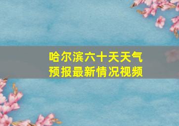 哈尔滨六十天天气预报最新情况视频