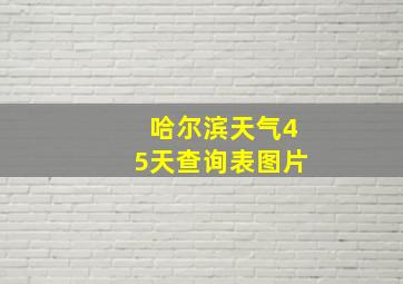 哈尔滨天气45天查询表图片