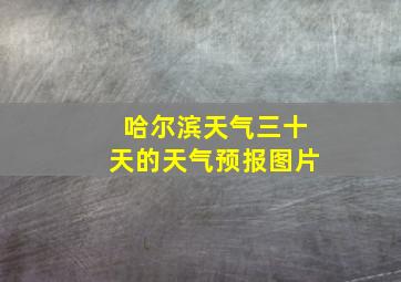 哈尔滨天气三十天的天气预报图片