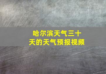 哈尔滨天气三十天的天气预报视频