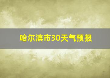 哈尔滨市30天气预报