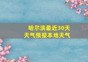 哈尔滨最近30天天气预报本地天气