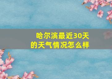 哈尔滨最近30天的天气情况怎么样