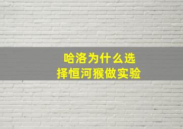 哈洛为什么选择恒河猴做实验