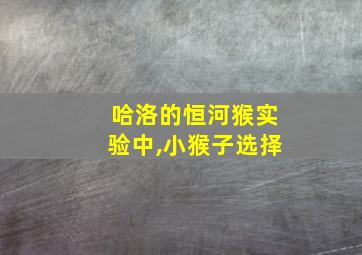 哈洛的恒河猴实验中,小猴子选择