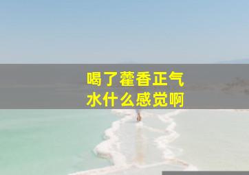 喝了藿香正气水什么感觉啊