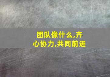 团队像什么,齐心协力,共同前进