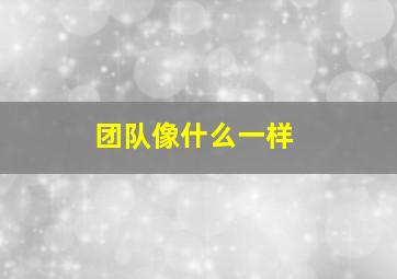 团队像什么一样