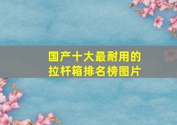 国产十大最耐用的拉杆箱排名榜图片