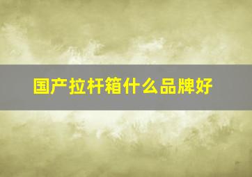 国产拉杆箱什么品牌好