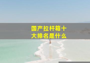 国产拉杆箱十大排名是什么