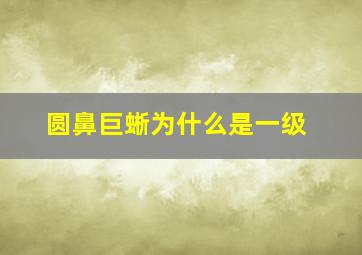 圆鼻巨蜥为什么是一级