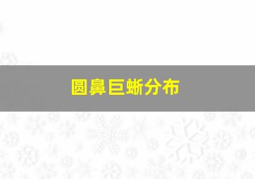 圆鼻巨蜥分布