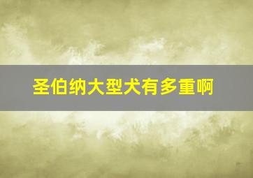 圣伯纳大型犬有多重啊