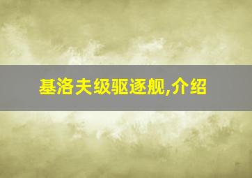 基洛夫级驱逐舰,介绍