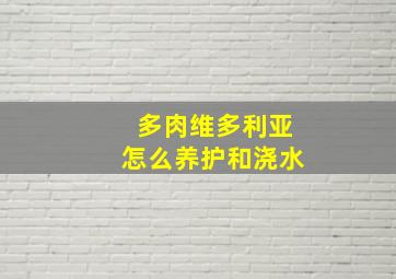 多肉维多利亚怎么养护和浇水