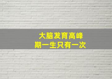 大脑发育高峰期一生只有一次