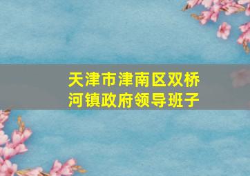 天津市津南区双桥河镇政府领导班子