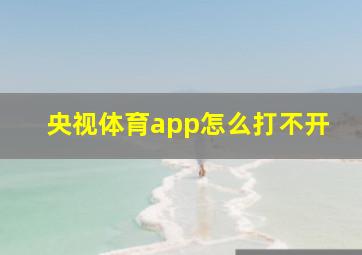 央视体育app怎么打不开