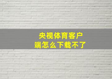 央视体育客户端怎么下载不了