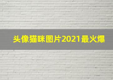 头像猫咪图片2021最火爆