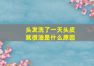 头发洗了一天头皮就很油是什么原因