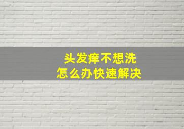 头发痒不想洗怎么办快速解决