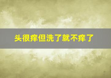 头很痒但洗了就不痒了