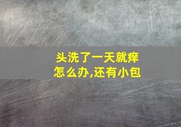 头洗了一天就痒怎么办,还有小包