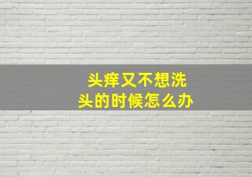 头痒又不想洗头的时候怎么办